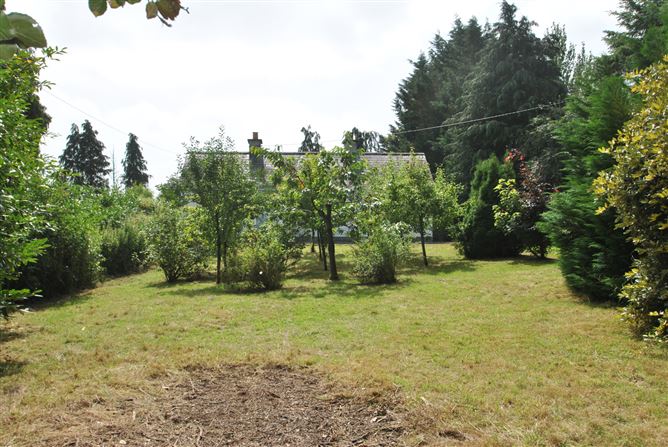 Cloonagh, Golden Grove, Roscrea, Co. Tipperary