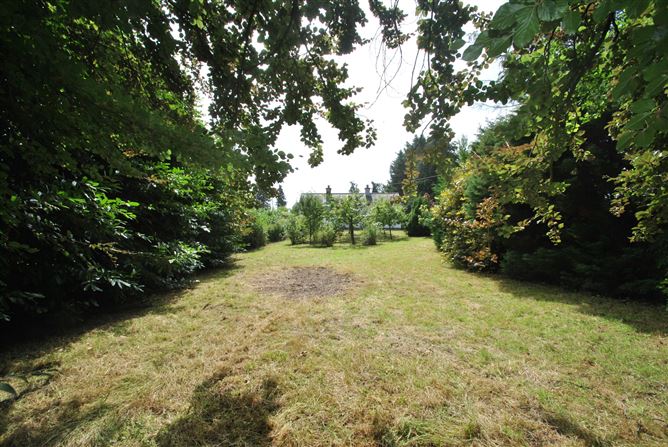 Cloonagh, Golden Grove, Roscrea, Co. Tipperary