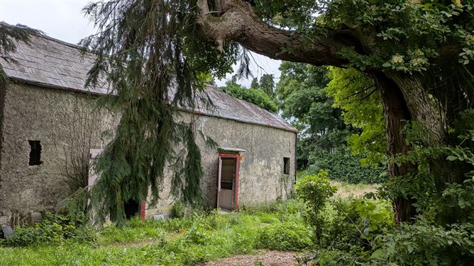Cloonagh, Golden Grove, Roscrea, Co. Tipperary