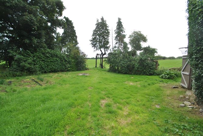 Cloonagh, Golden Grove, Roscrea, Co. Tipperary