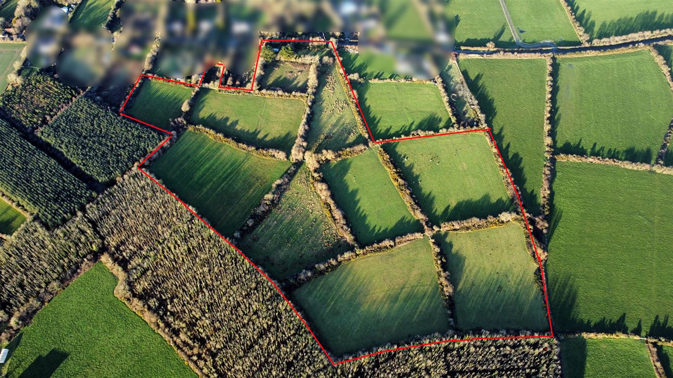 Premium c. 20.07 Acres Holding at Littletown,, Tomhaggard, Wexford