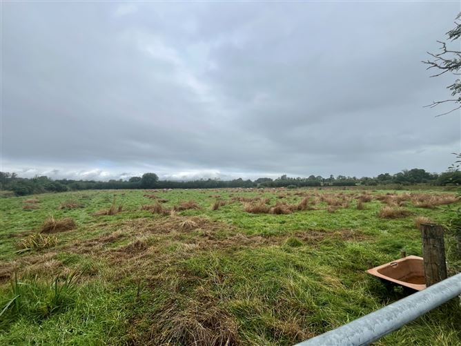 Photo 31 of 32 — House and 11.60 Acres Of Land, Bunnacranna, Curry, Co. Sligo