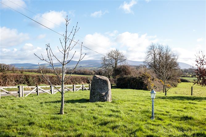 Ballyphenan, Borris, Carlow