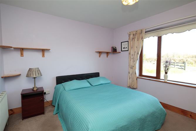 Ballyphenan, Borris, Carlow