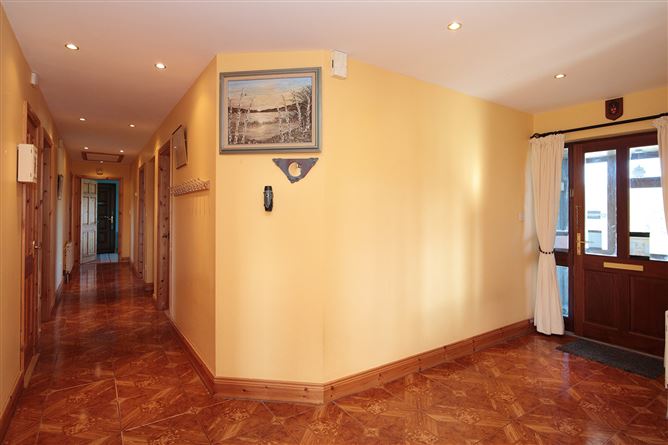 Ballyphenan, Borris, Carlow