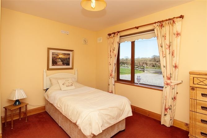 Ballyphenan, Borris, Carlow