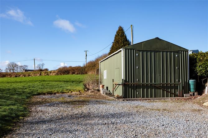Ballyphenan, Borris, Carlow