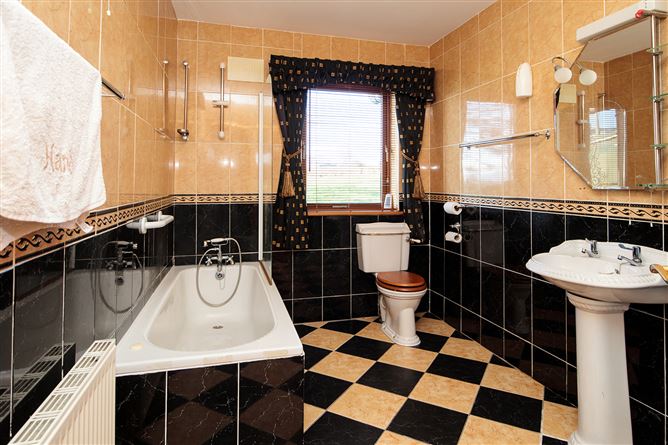 Ballyphenan, Borris, Carlow
