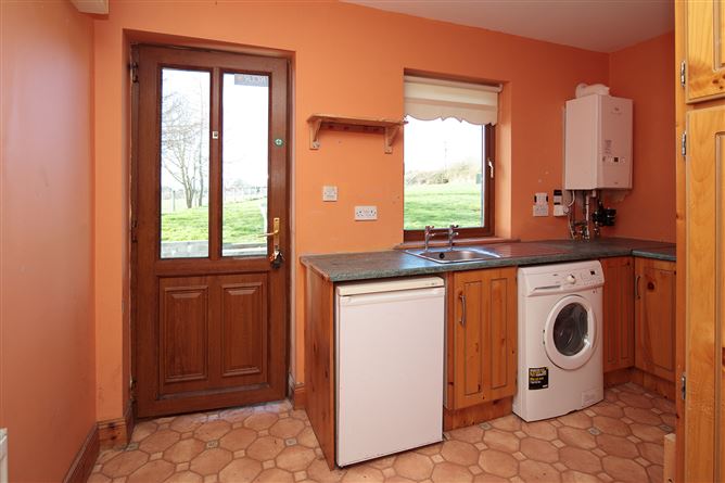 Ballyphenan, Borris, Carlow