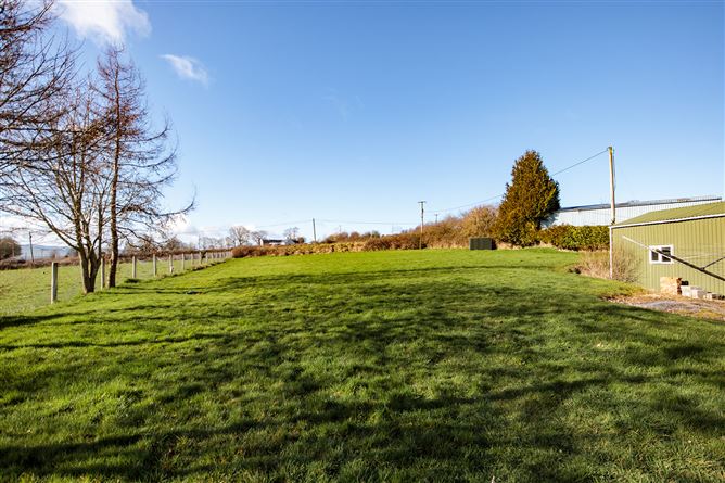 Ballyphenan, Borris, Carlow