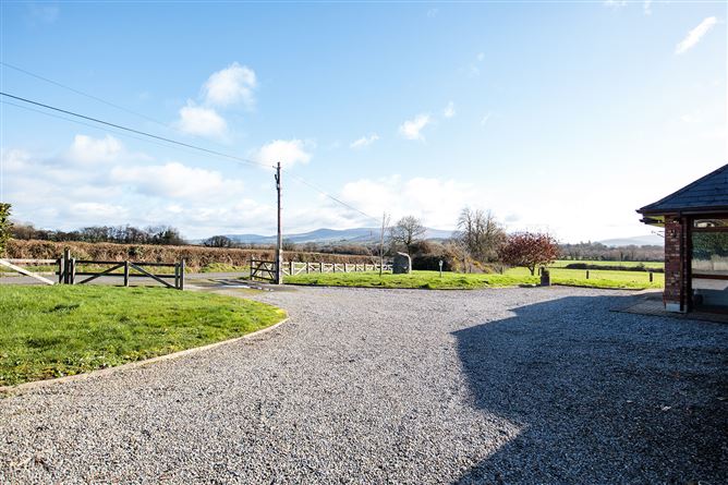 Ballyphenan, Borris, Carlow