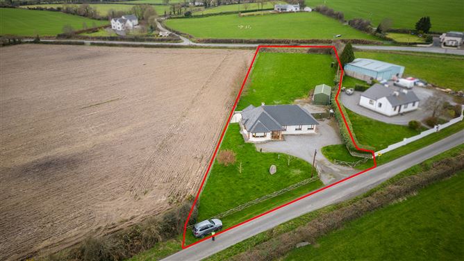 Ballyphenan, Borris, Carlow