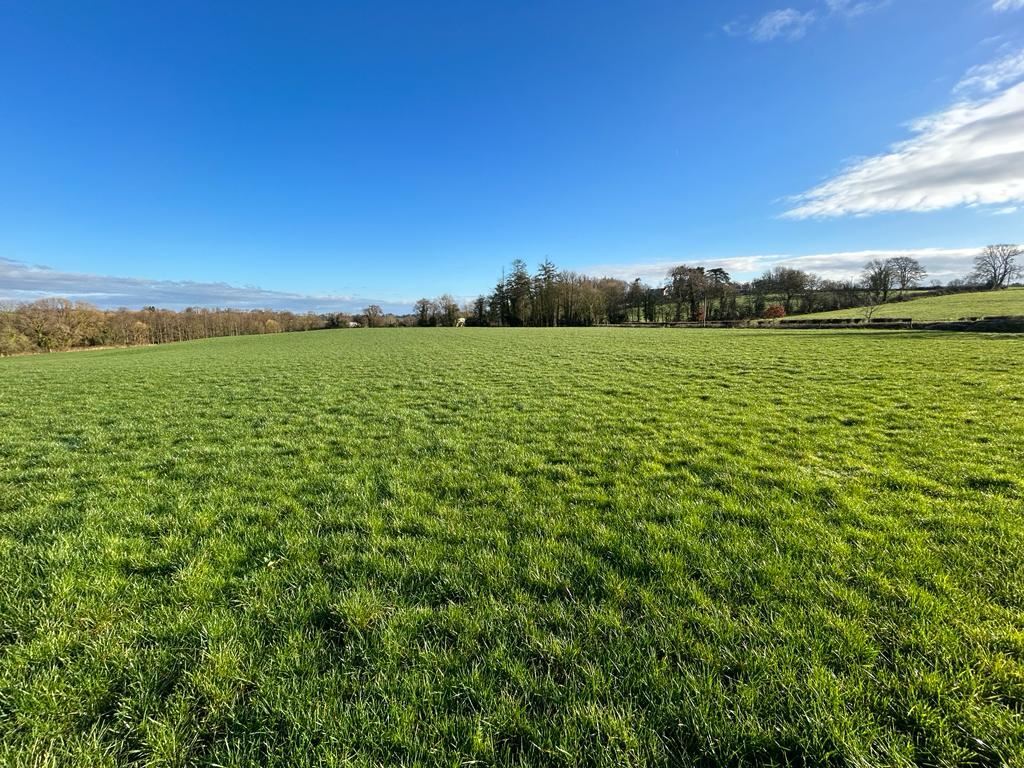 Inchakevin, Castletownroche, Co. Cork