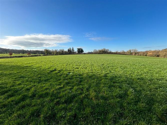 Inchakevin, Castletownroche, Co. Cork