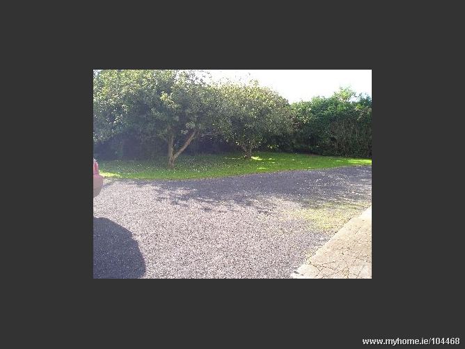 Raheen, Donaghmore, Co.Laois, 
