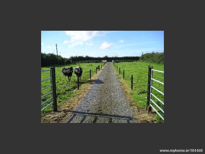 Raheen, Donaghmore, Co.Laois, 
