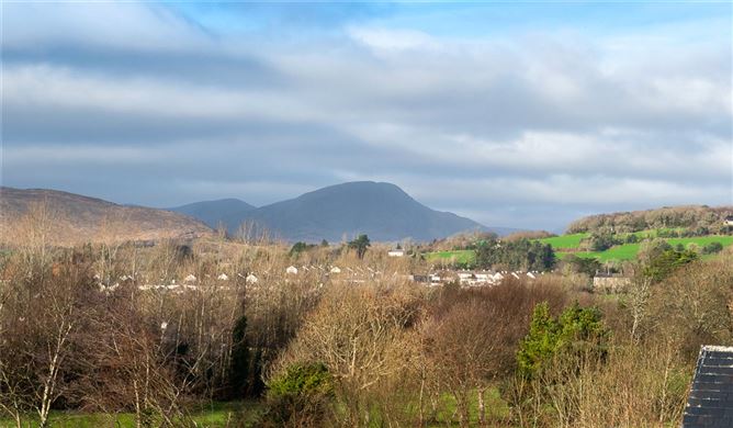 Driftwood, Killowen, Kenmare, Co. Kerry