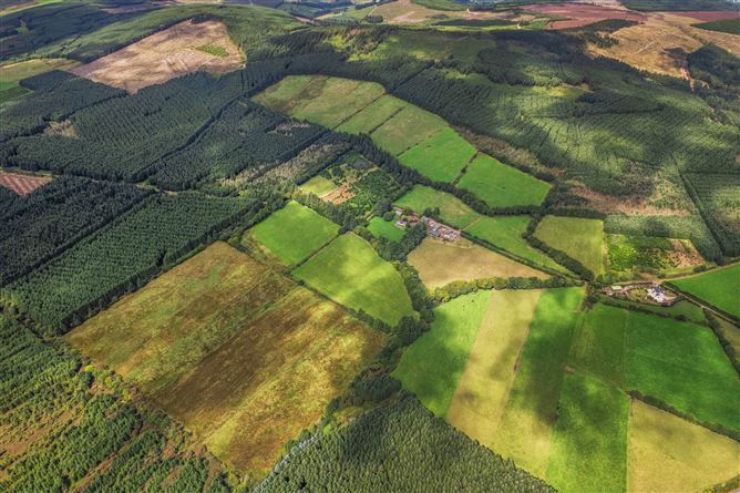 Glenasock, Glenville, Cork
