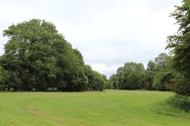 Yew Tree House, Commons North, Suncroft, The Curragh, Co. Kildare