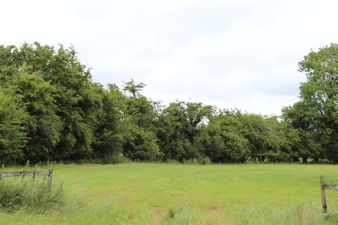 Yew Tree House, Commons North, Suncroft, The Curragh, Co. Kildare