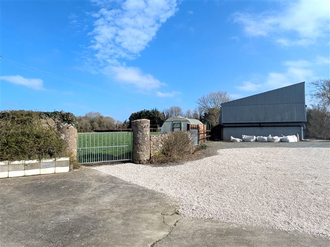 Ralph, Fethard, Wexford