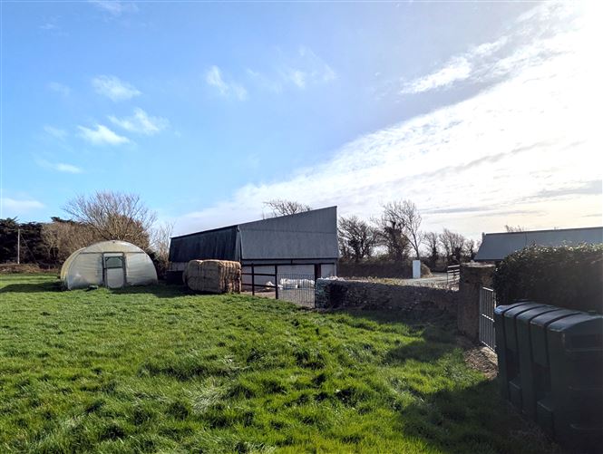 Ralph, Fethard, Wexford