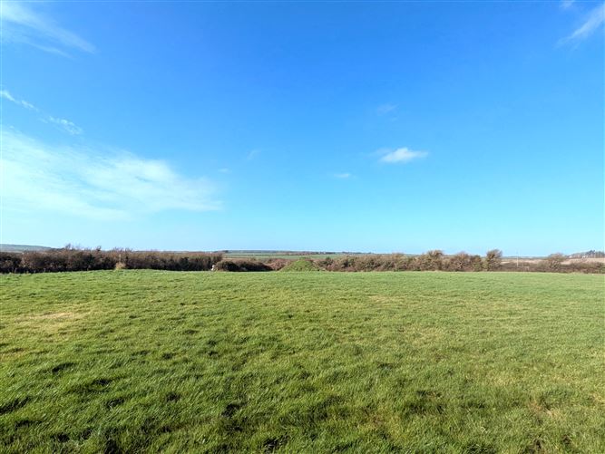 Ralph, Fethard, Wexford