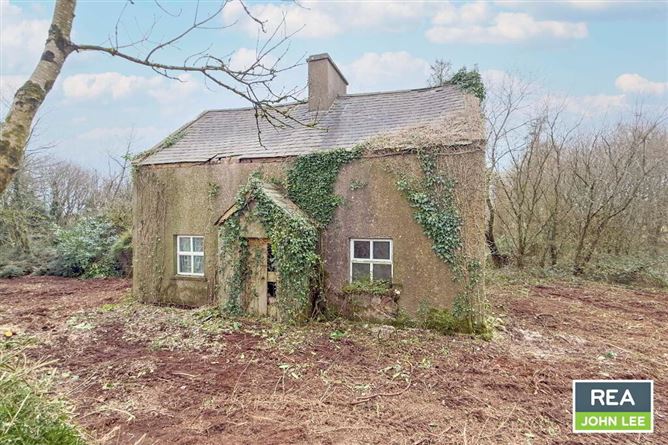 Oakhampton, Newport, Tipperary