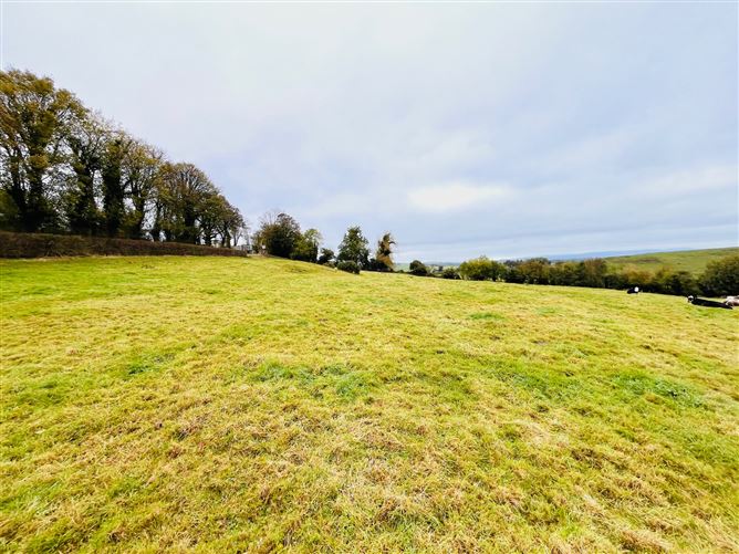 Knockroe,Lough Gur, Bruff, Limerick