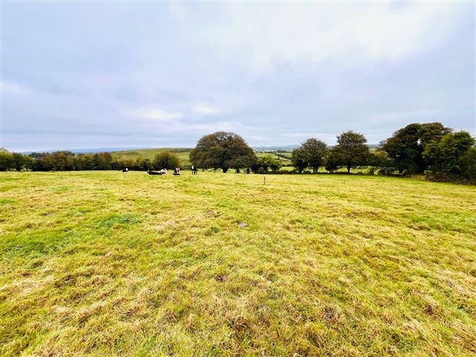 Knockroe,Lough Gur, Bruff, Limerick
