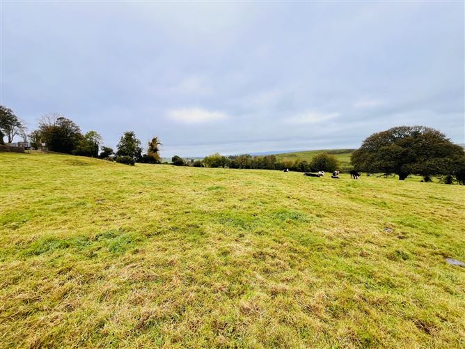 Knockroe,Lough Gur, Bruff, Limerick