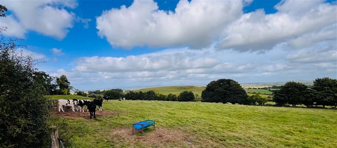 Knockroe,Lough Gur, Bruff, Limerick