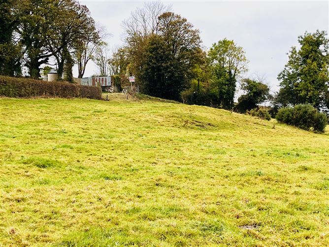 Knockroe,Lough Gur, Bruff, Limerick