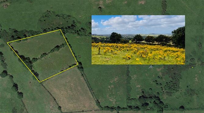 Knockroe,Lough Gur, Bruff, Limerick