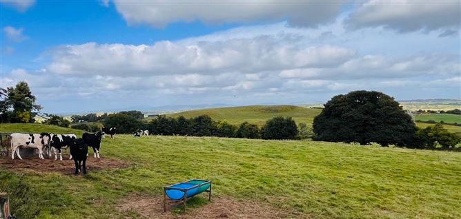Knockroe,Lough Gur, Bruff, Limerick