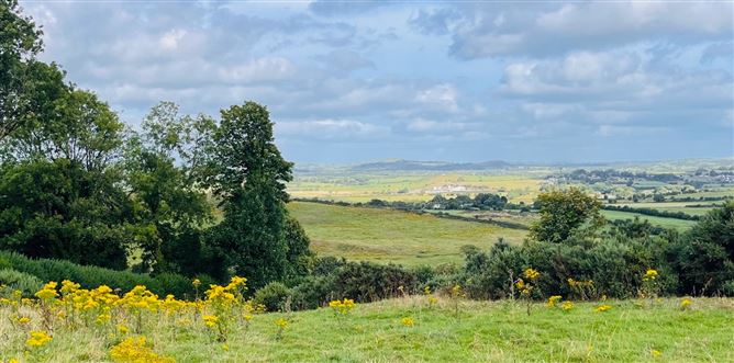 Knockroe,Lough Gur, Bruff, Limerick