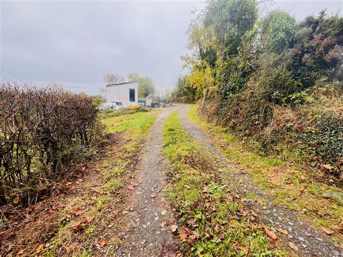 Knockroe,Lough Gur, Bruff, Limerick