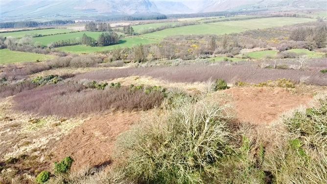 Ballyandreen, Annascaul, Kerry