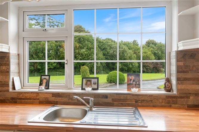 Moat, Ballyhaunis, Co. Mayo