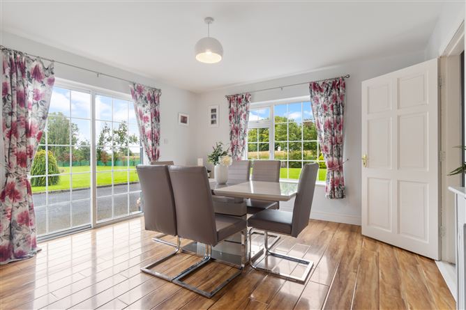 Moat, Ballyhaunis, Co. Mayo