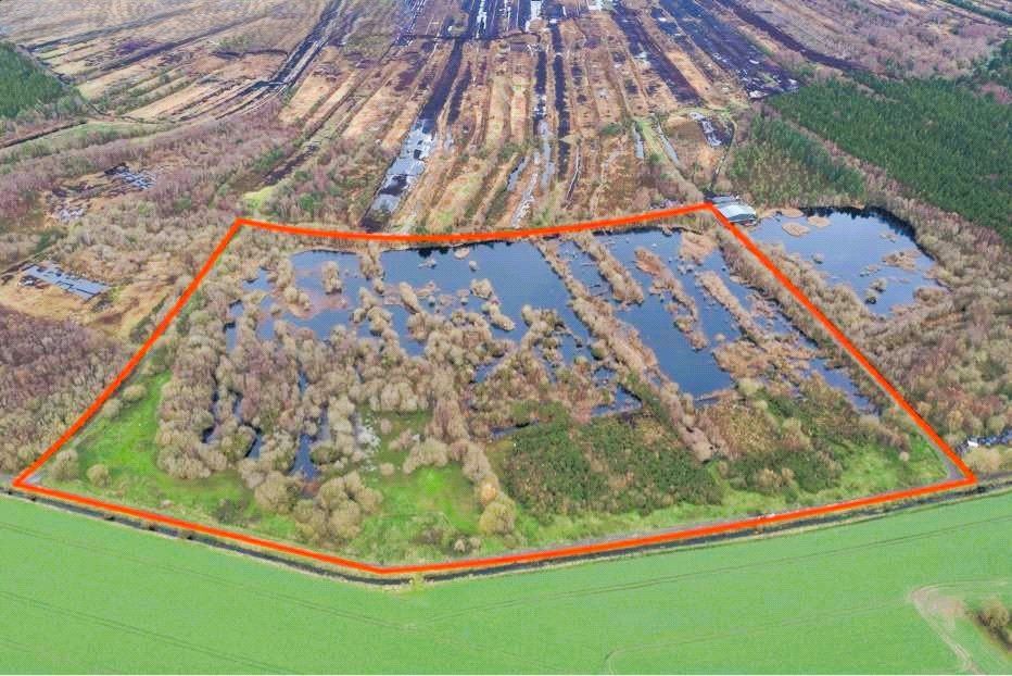 Lands Kilberry, Athy, Co. Kildare