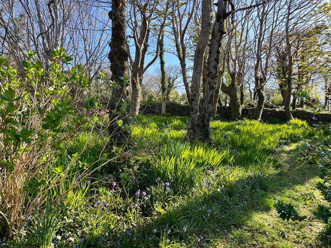 Errislannan Manor, Errislannan, Clifden, Co. Galway
