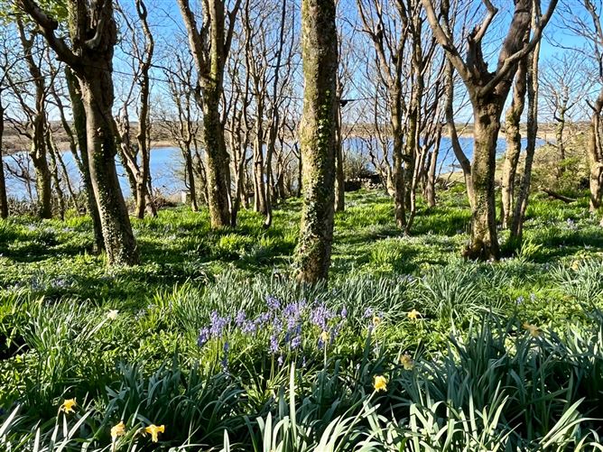 Errislannan Manor, Errislannan, Clifden, Co. Galway