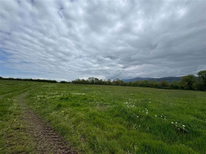 Photo 15 of 16 — Dangan, Ballyporeen, County Tipperary