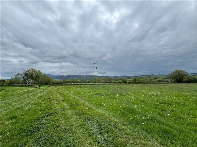 Photo 11 of 16 — Dangan, Ballyporeen, County Tipperary