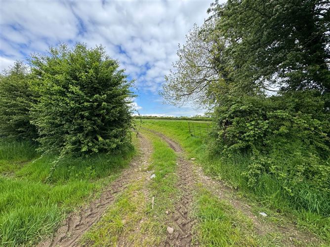 Photo 12 of 16 — Dangan, Ballyporeen, County Tipperary