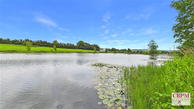 Photo 27 of 41 — Gill's Pond, Ballinakill, Laois