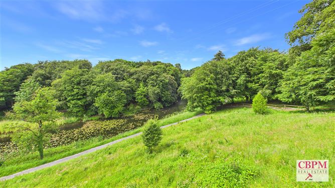Photo 37 of 41 — Gill's Pond, Ballinakill, Laois