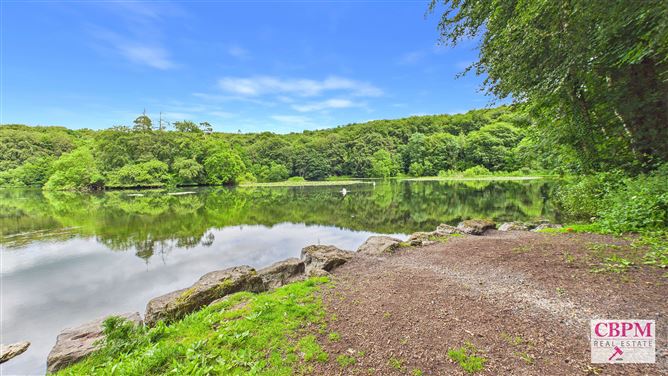 Photo 38 of 41 — Gill's Pond, Ballinakill, Laois