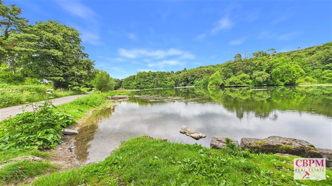Photo 39 of 41 — Gill's Pond, Ballinakill, Laois
